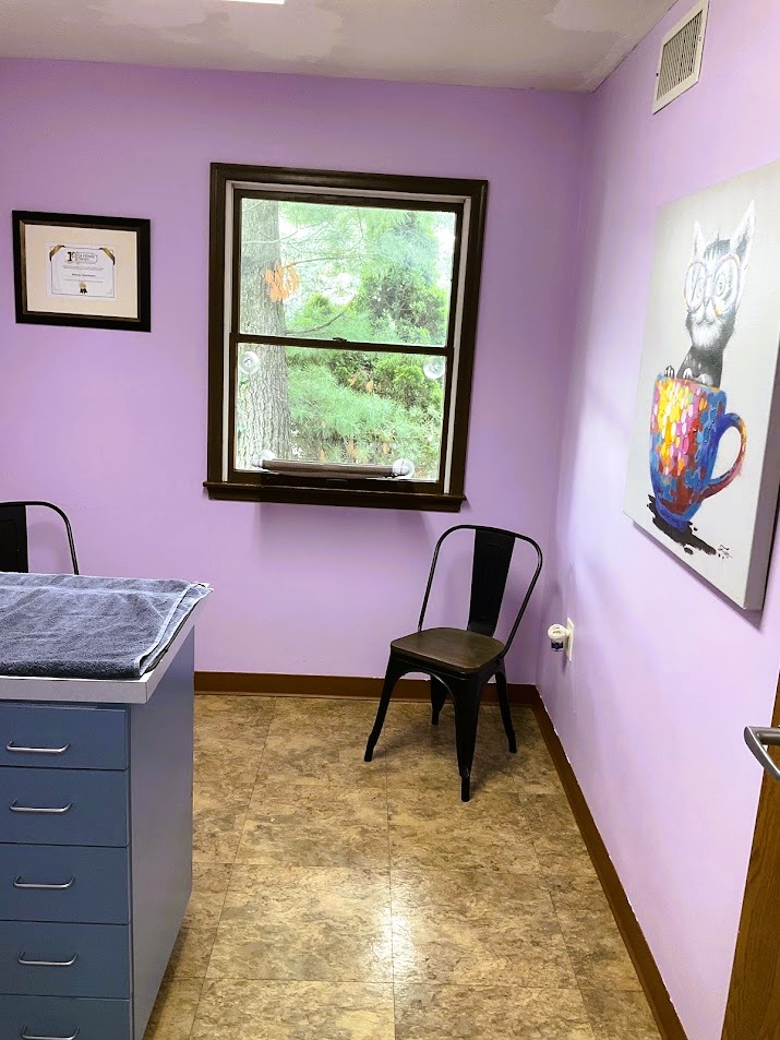 Cat Room 1 Cat Room 1