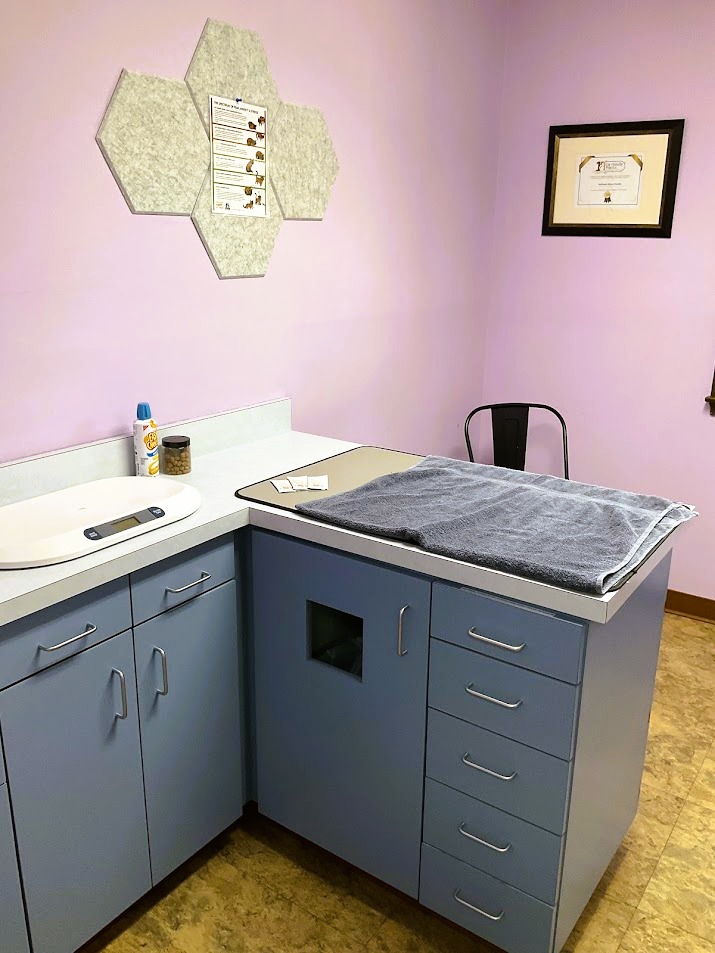 Cat Room 2 Cat Room 2