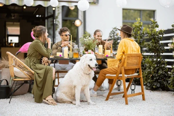 Pet Friendly Restaurants